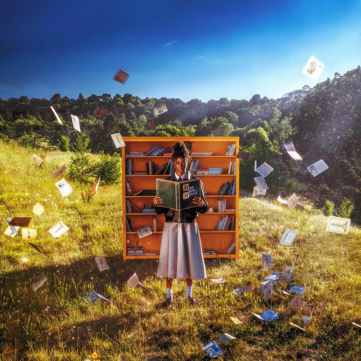 Album cover of How To Be Human