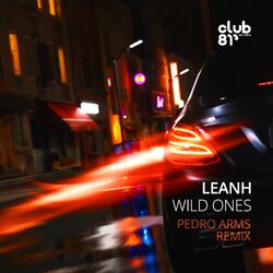Wild Ones (Pedro Arms Remix)