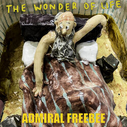 Cover of The Wonder of Life