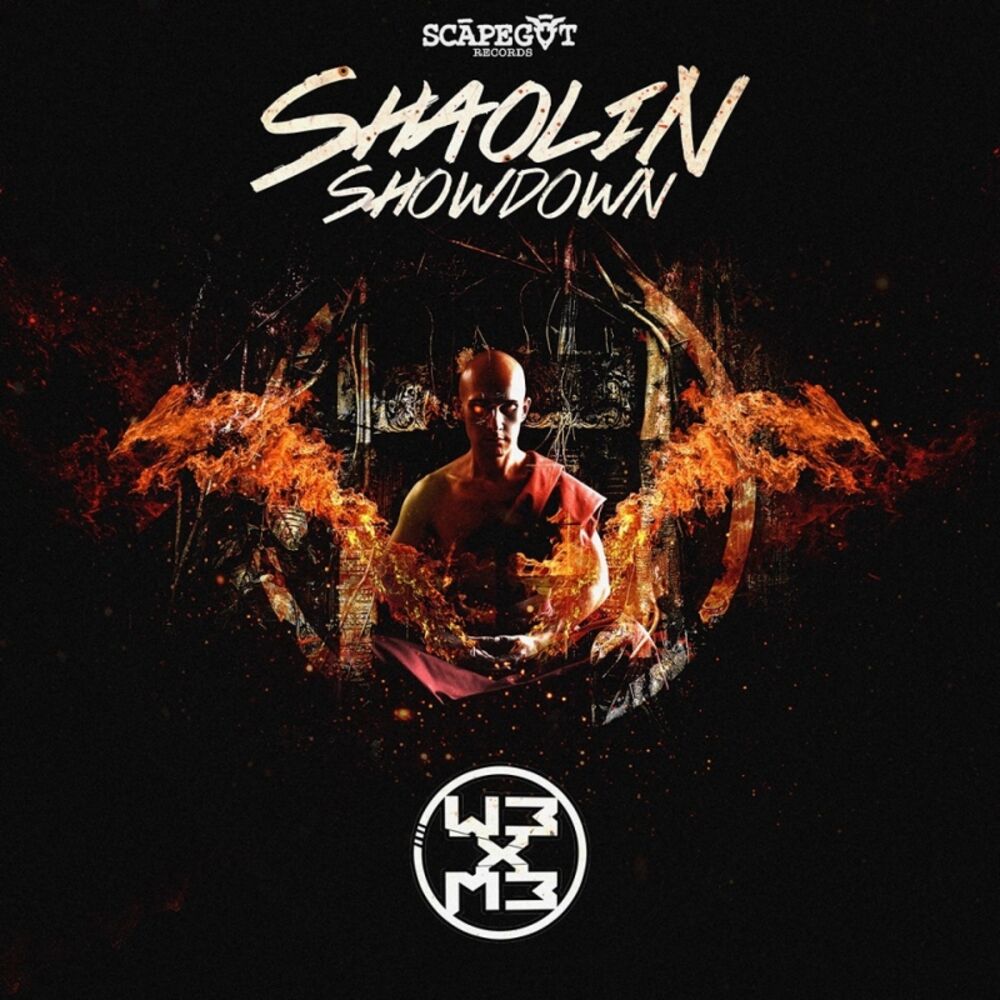 Picture of Shaolin Showdown