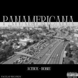 Cover of PANAMERICANA