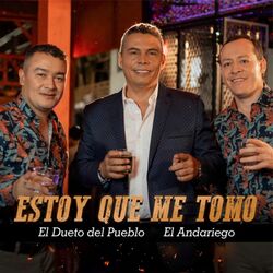 Cover of Estoy que me Tomo