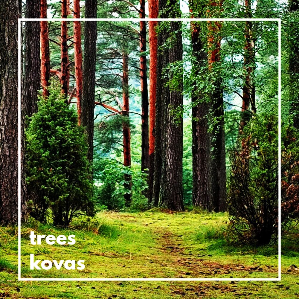 Picture of Trees