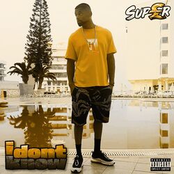 Cover of I Don’t Know