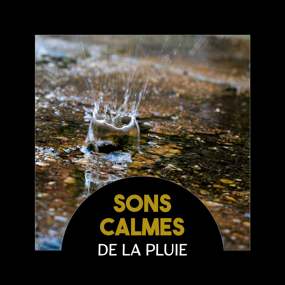 Picture of Sons calmes de la pluie (Musique naturelle pour la détente, Sommeil profond, Réduction du stress, Thérapie par hypnose)