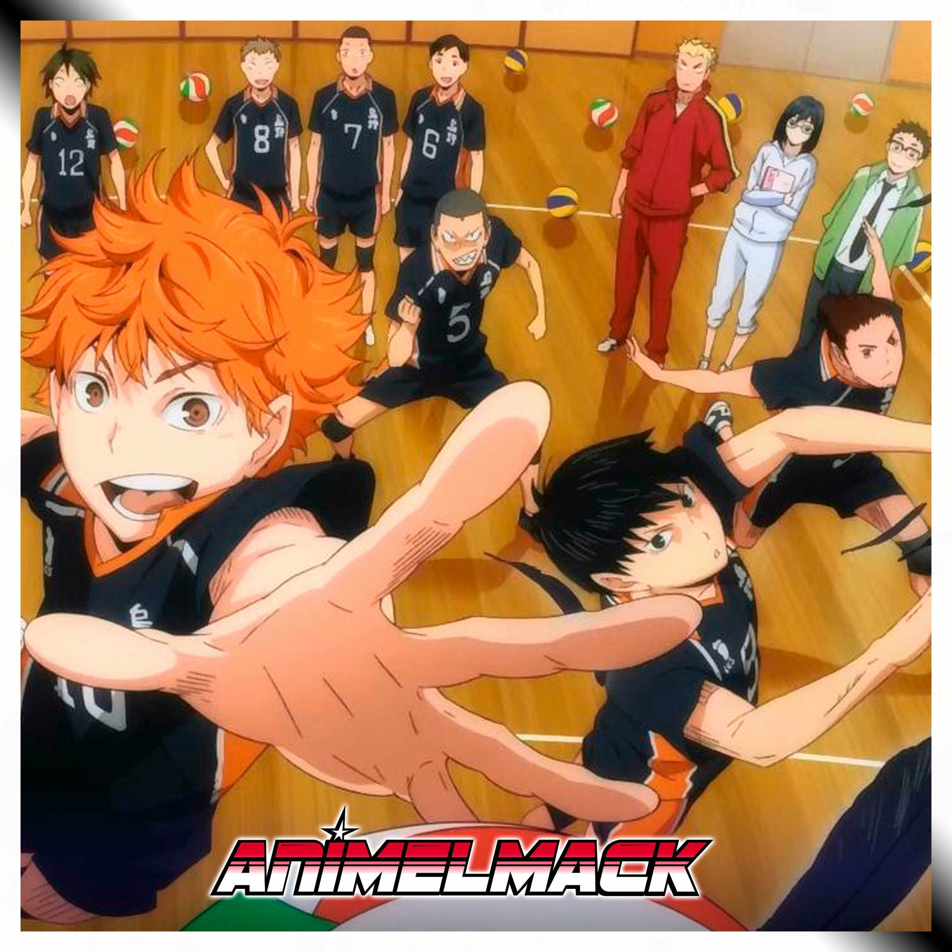 Album cover of Team Potential (Haikyuu!!)