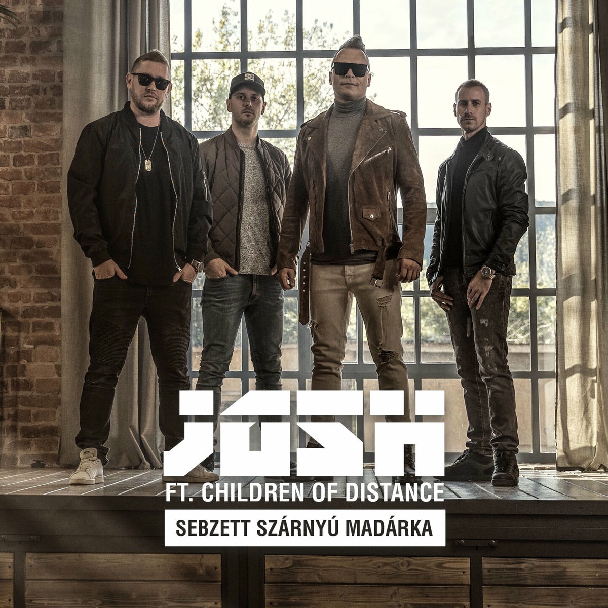 Album cover of Sebzett szárnyú madárka