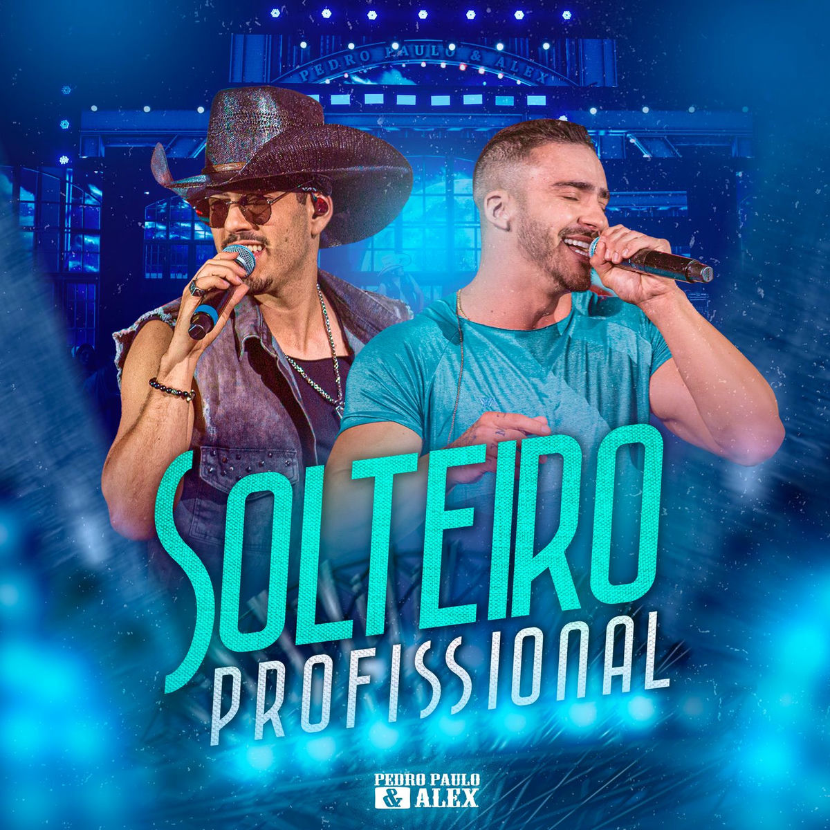 Album cover of Solteiro Profissional