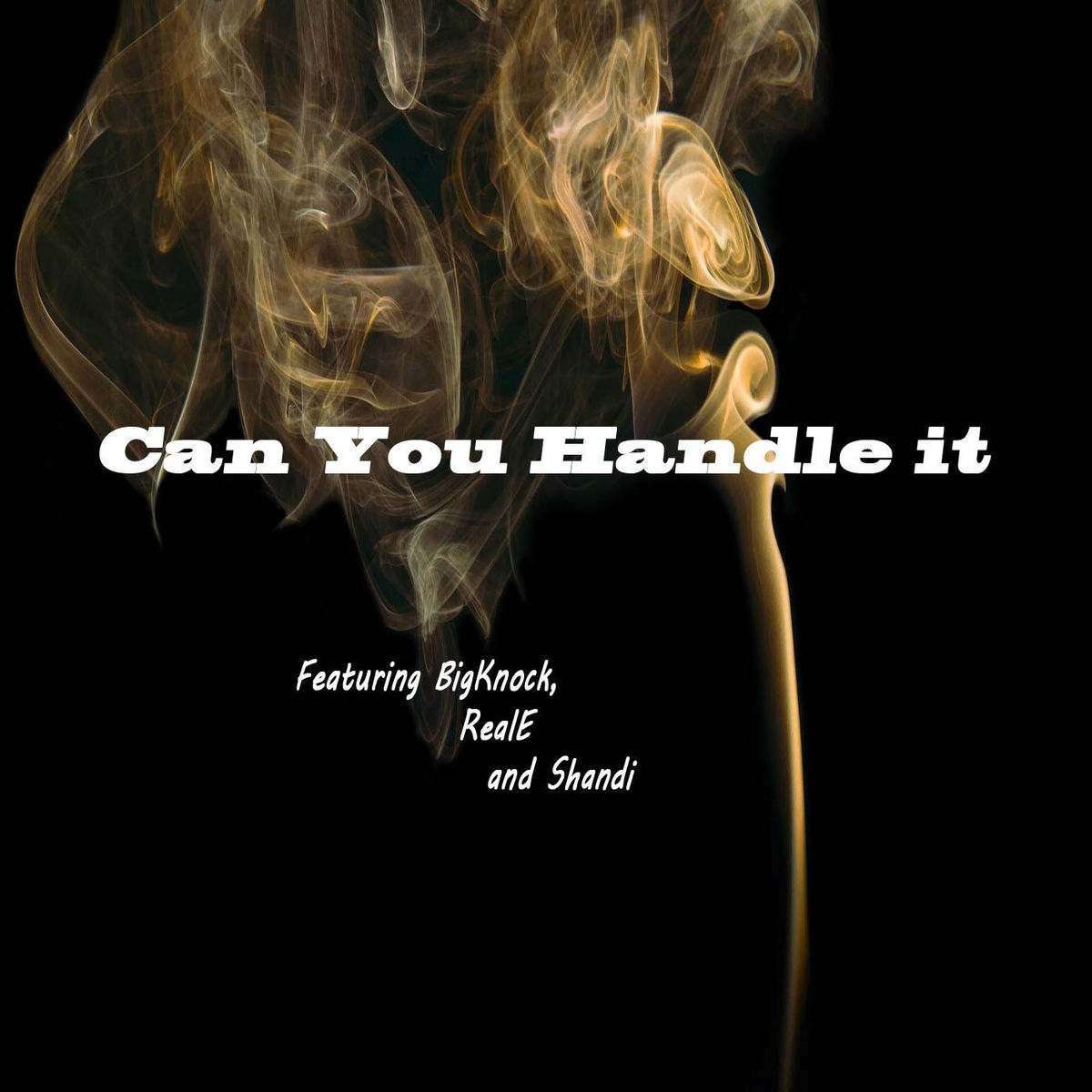 Album cover of Can You Handle It
