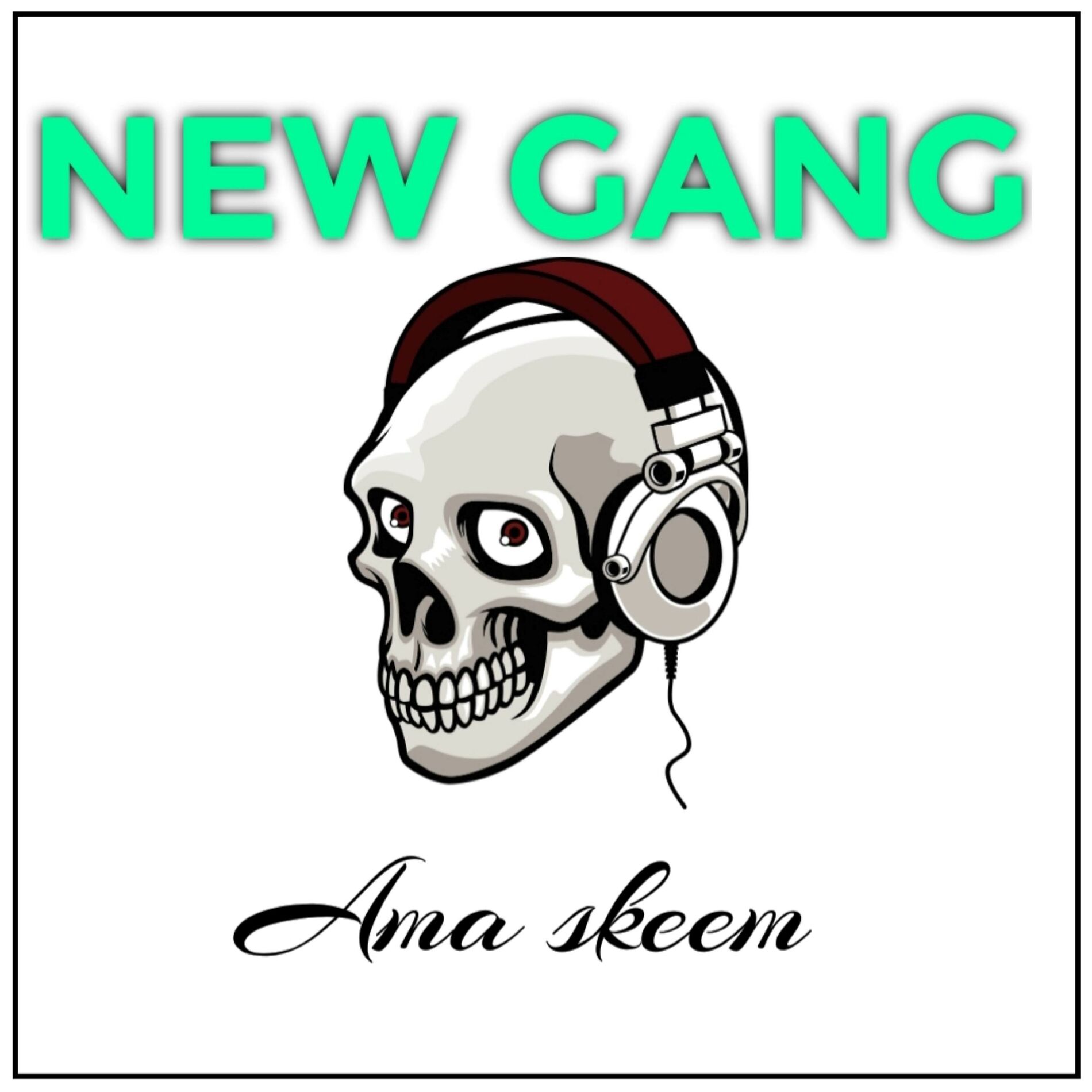 Album cover of Ama skeem