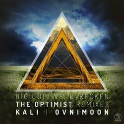 Cover of The Optimist Remixes