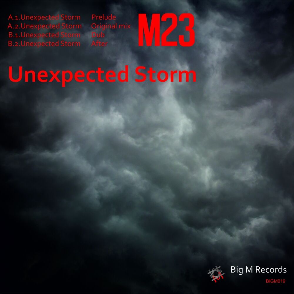 Picture of Unexpected Storm