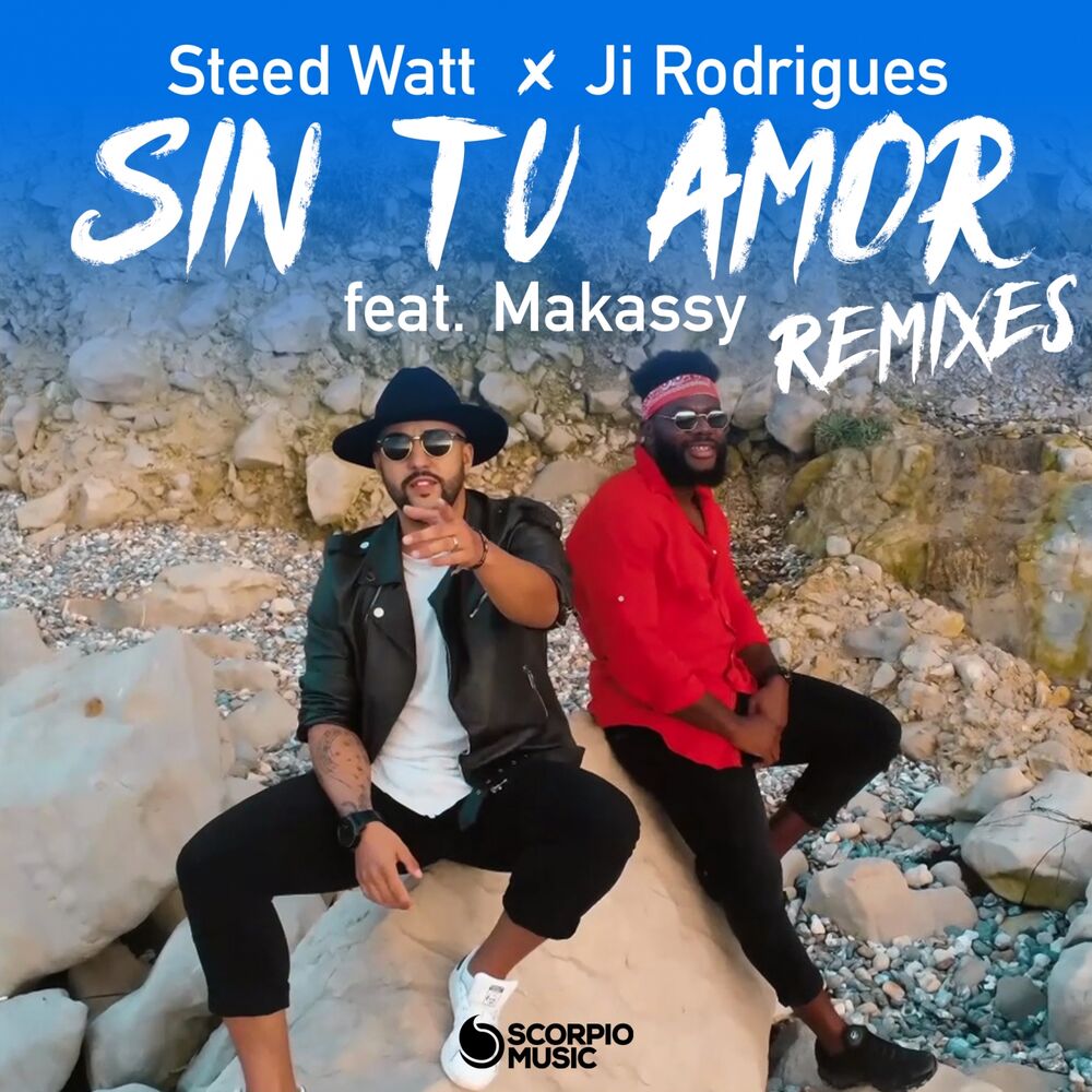 Picture of Sin Tu Amor (Remixes)