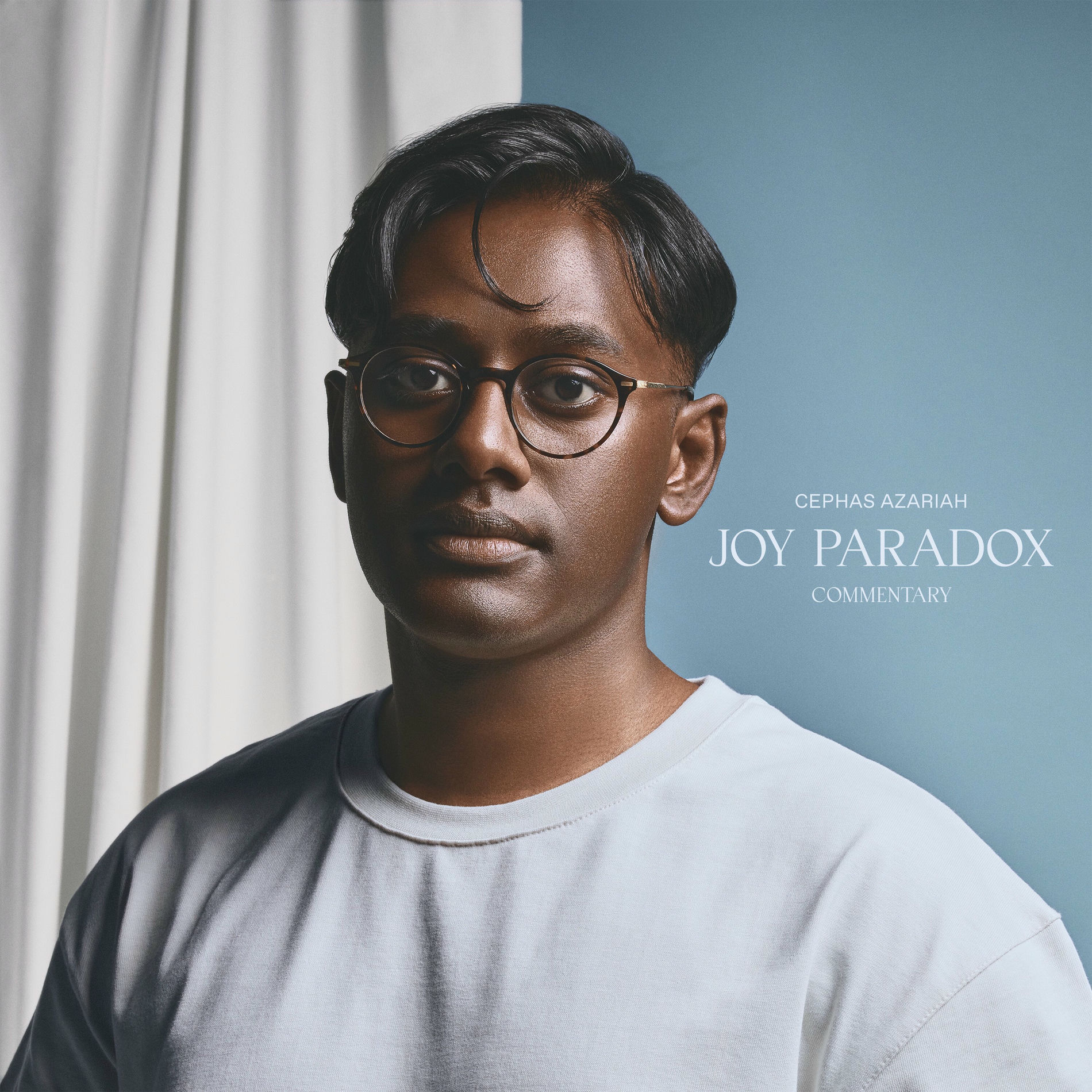 Album cover of Joy Paradox (Commentary)