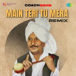 Cover of Main Teri Tu Mera (Remix)