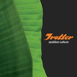 Cover of Positive Culture