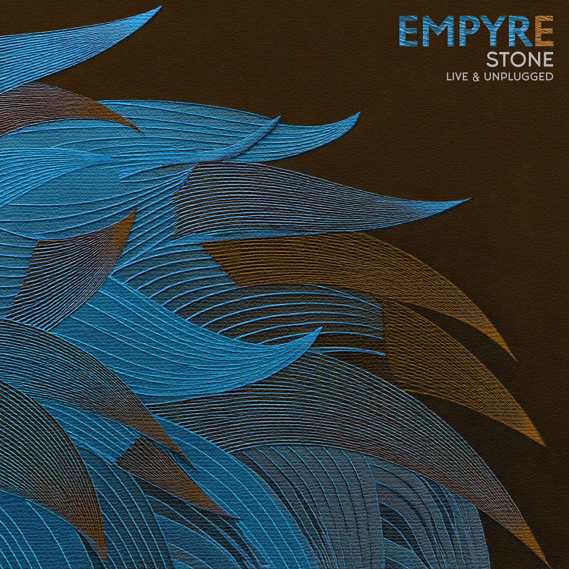 Album cover of Stone (Live & Unplugged)