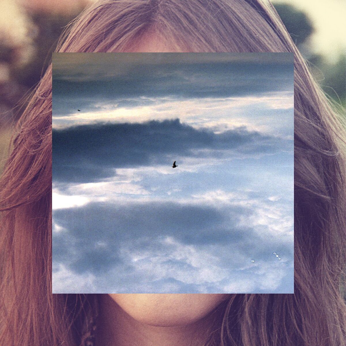 Album cover of Out of Range