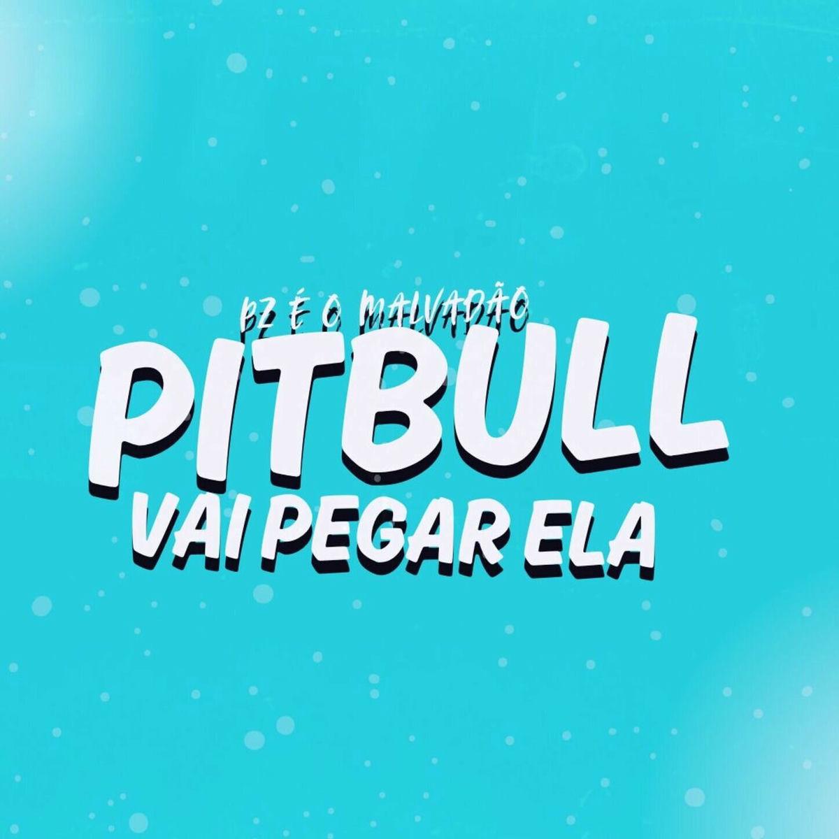 Album cover of Pz é o Malvadão vs Pitbull Vai Pegar Ela