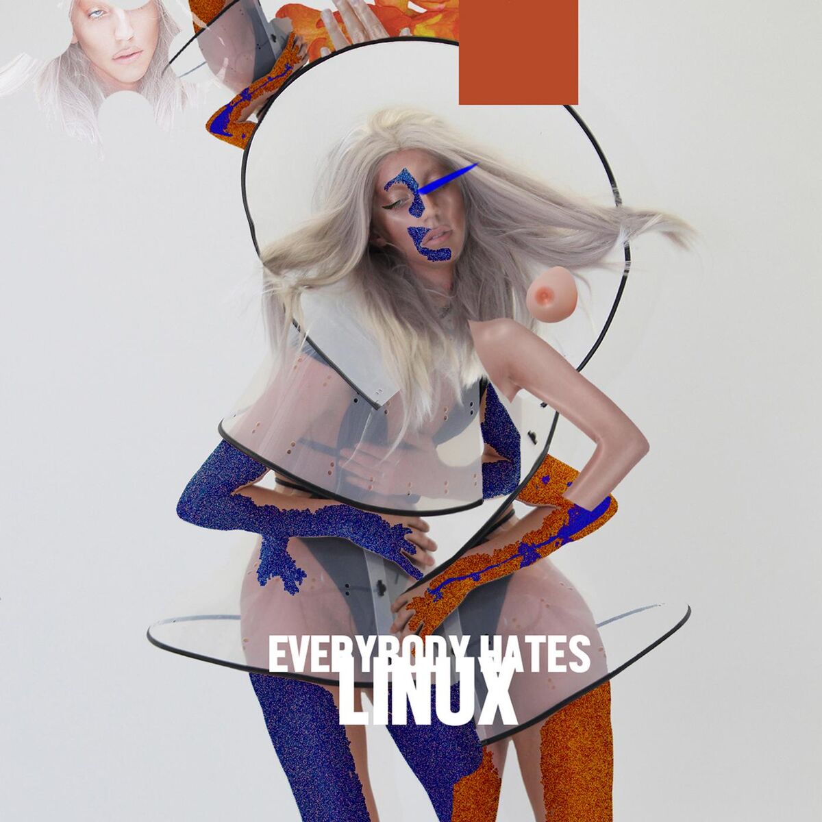 Album cover of Everybody Hates Linux