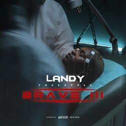 Cover of Brave III (Freestyle)