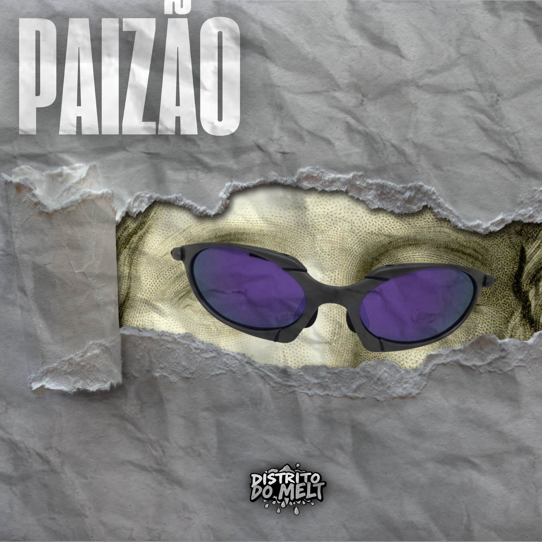 Album cover of Paizão