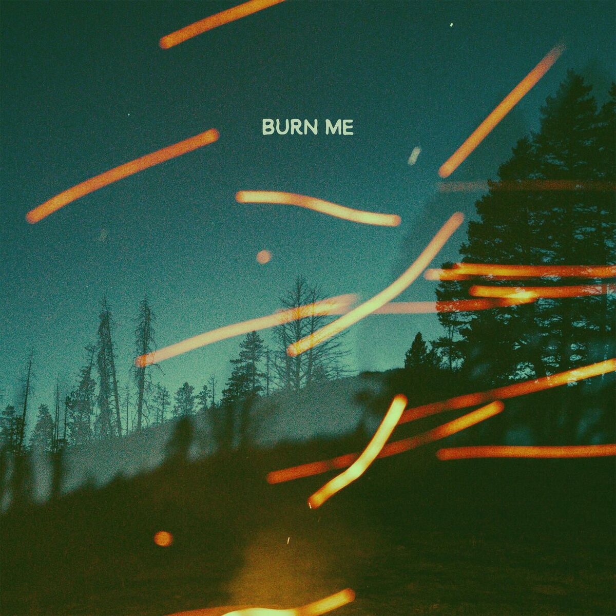 Album cover of Burn Me