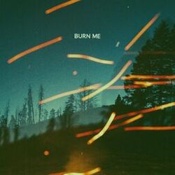 Burn Me