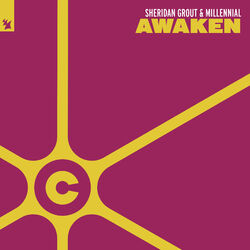 Cover of Awaken
