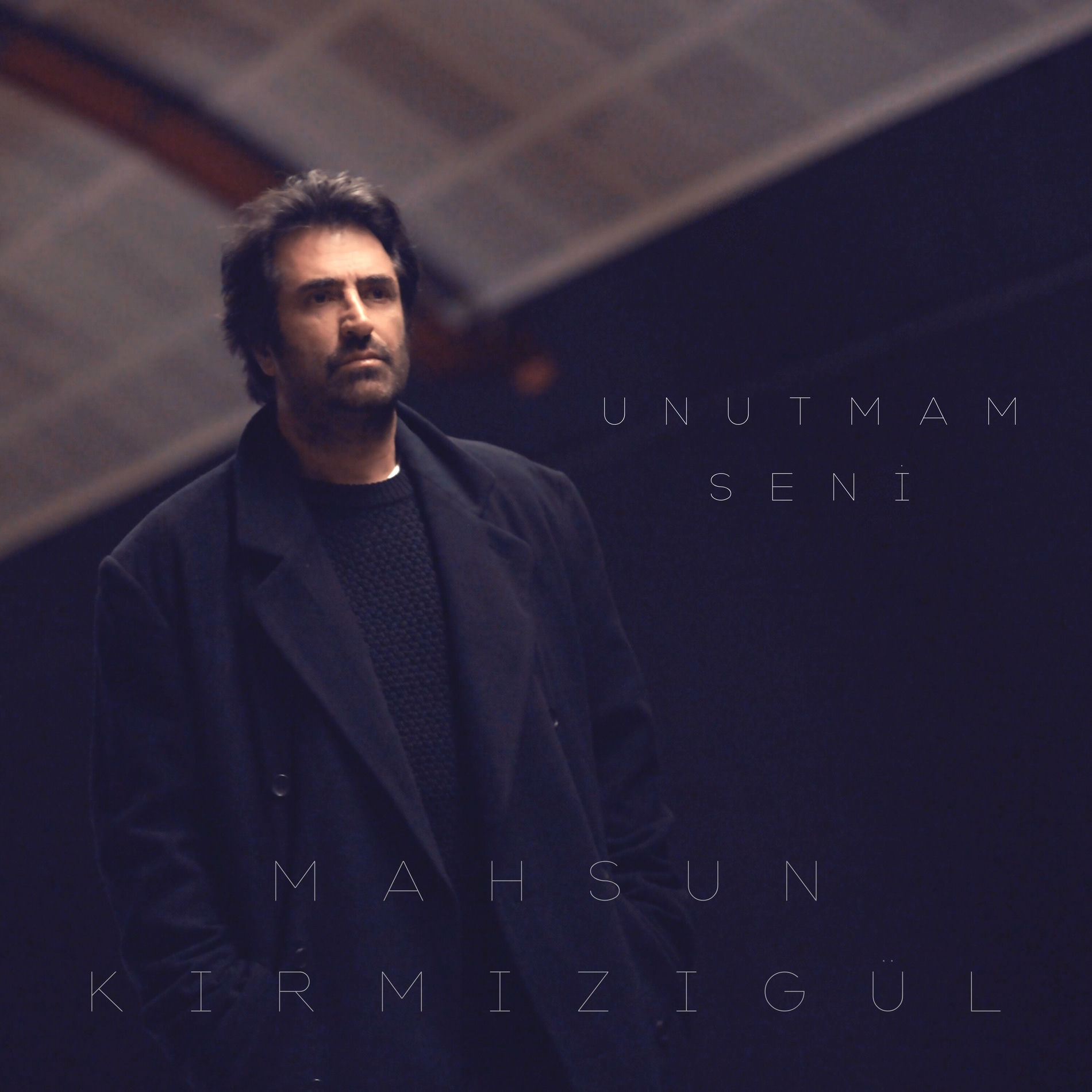 Album cover of Unutmam Seni
