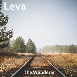 Cover of The Wanderer