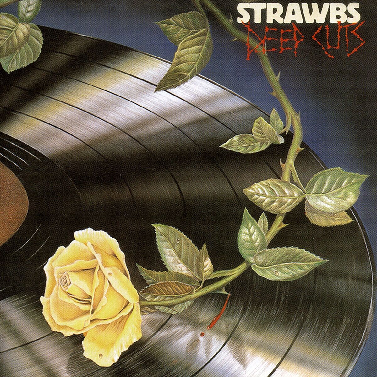 Album cover of Simple Visions