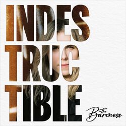 Cover of Indestructible