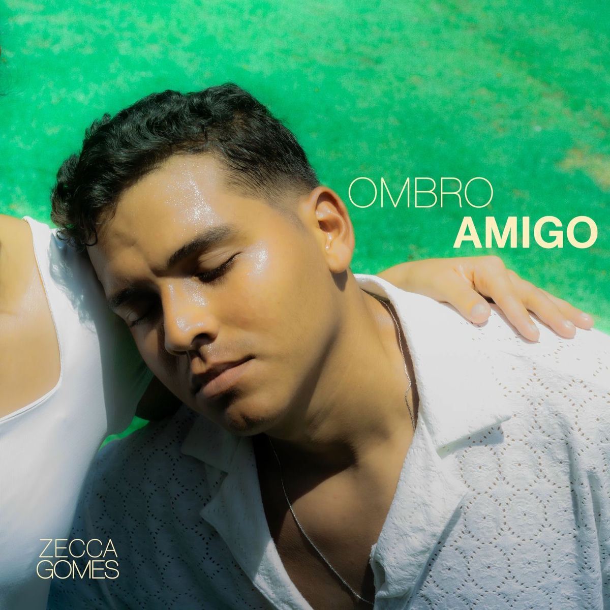 Album cover of Ombro Amigo
