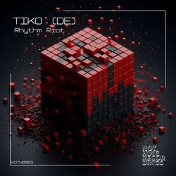 Cover of Rhythm Riot