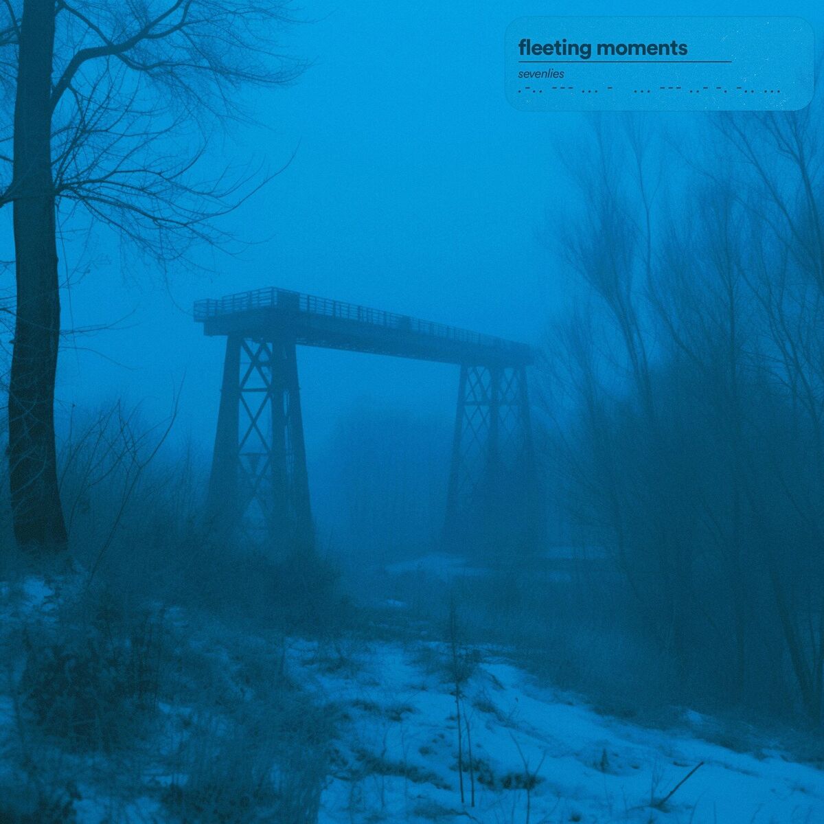 Album cover of fleeting moments