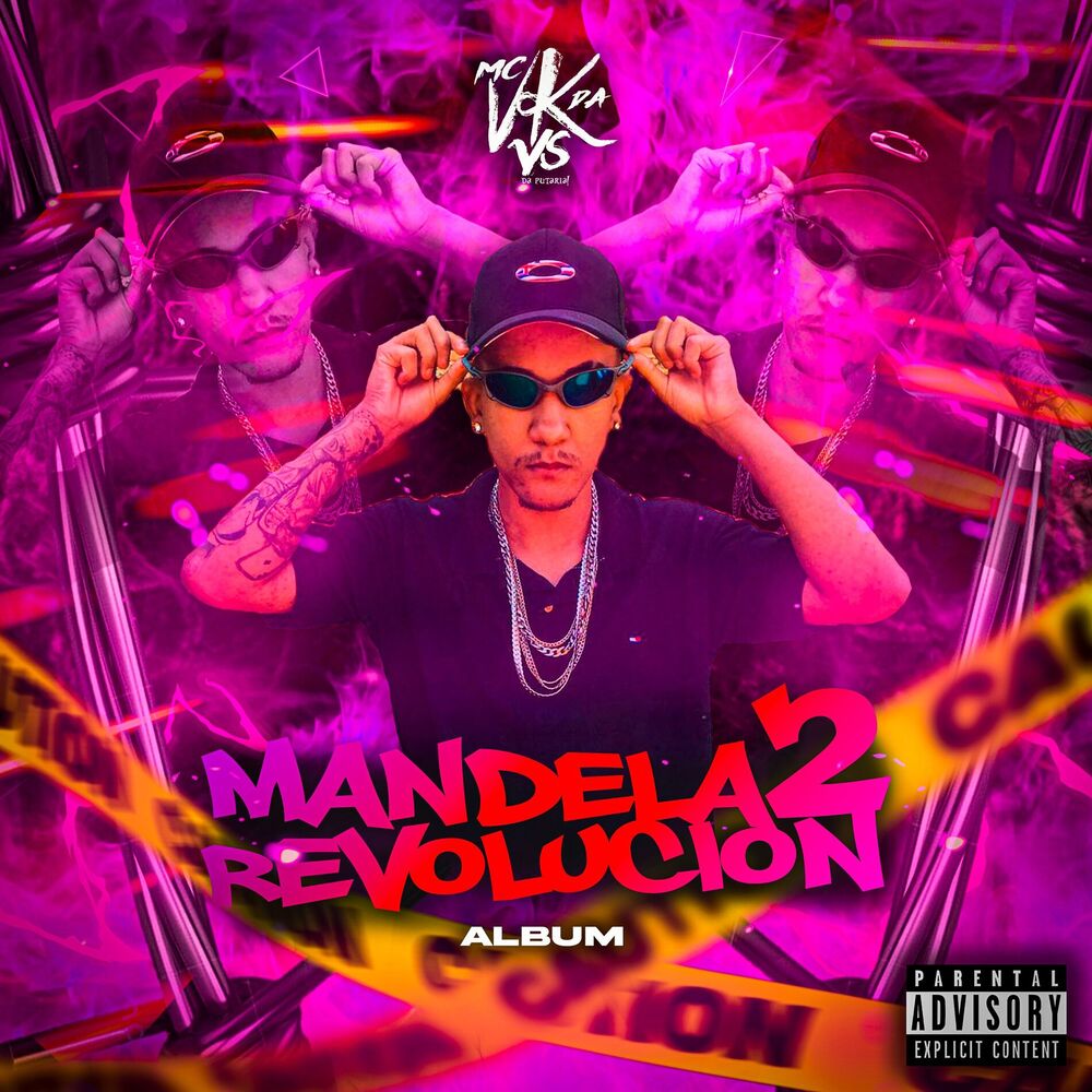 Picture of Mandela Revolution Vol.2