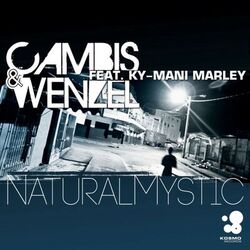 Cover of Natural Mystic (feat. Ky-Mani Marley)