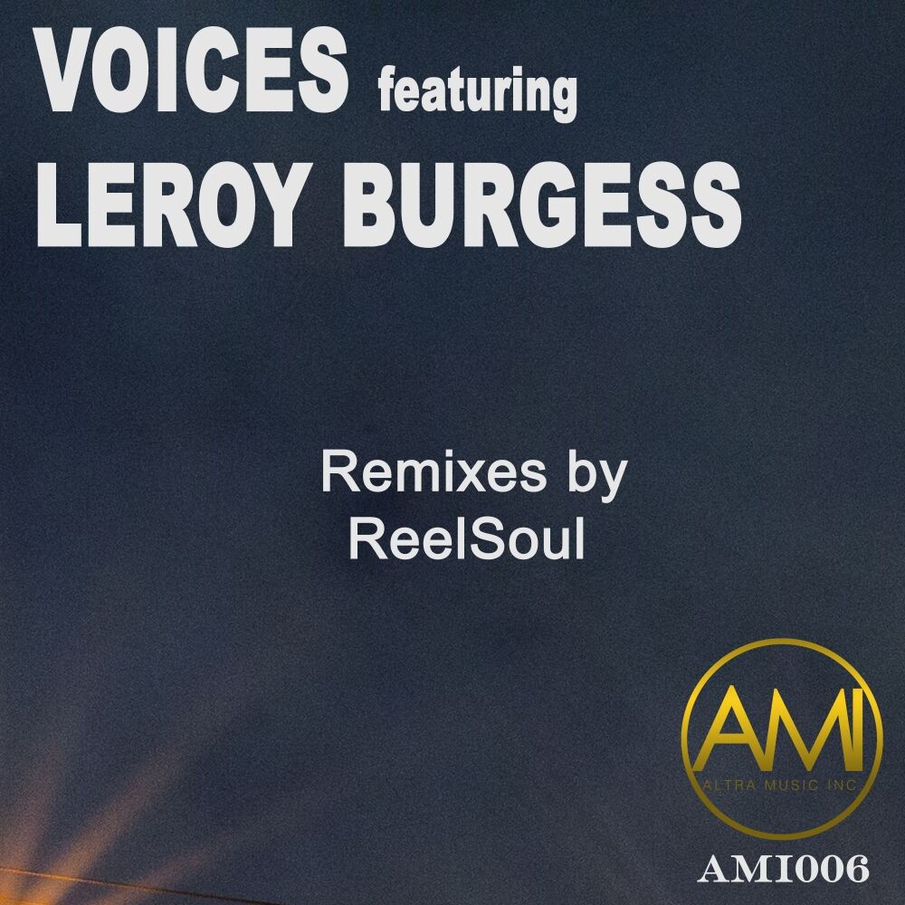 Picture of Voices: ReelSoul Remixes