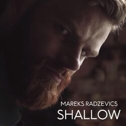 Cover of Shallow