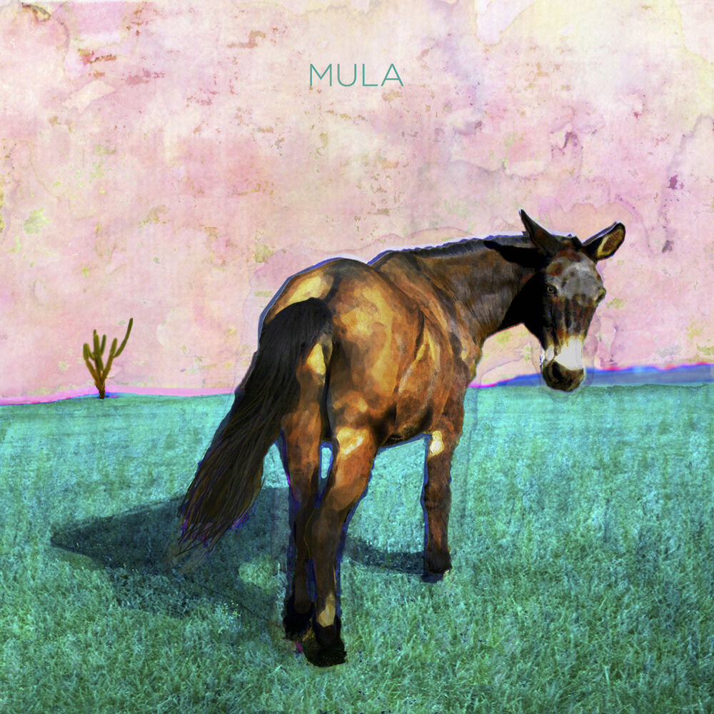 Picture of Mula