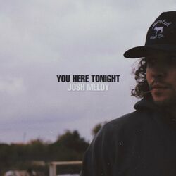 Cover of You Here Tonight