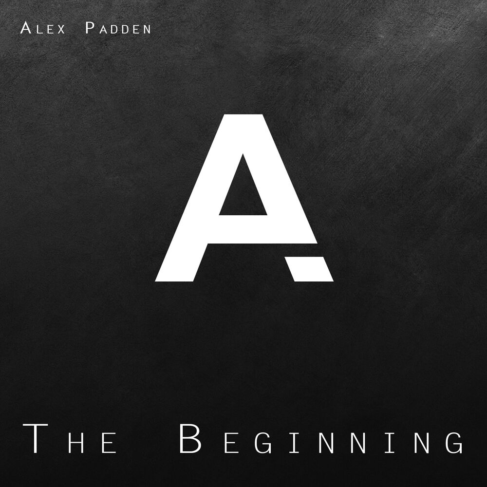 Picture of The Beginning