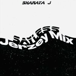 Cover of SAYLESS (JERZEY MIX)