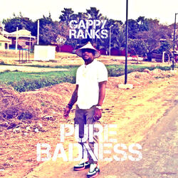 Cover of Pure Badness