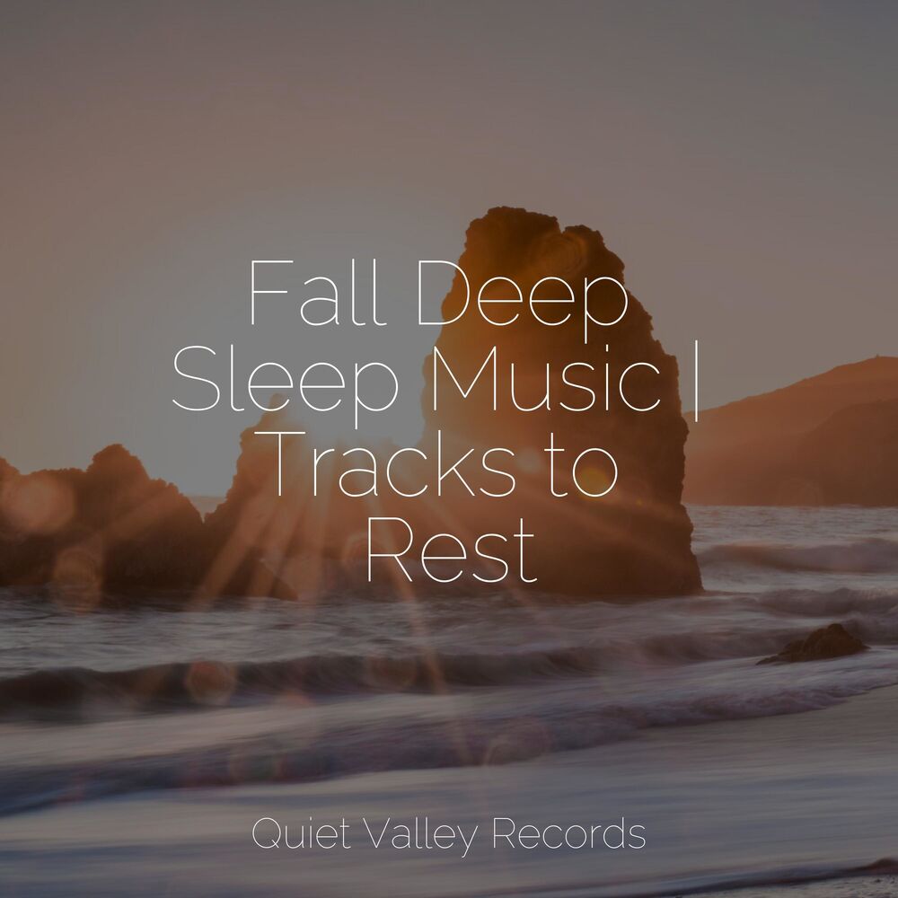 Picture of Fall Deep Sleep Music | Tracks to Rest