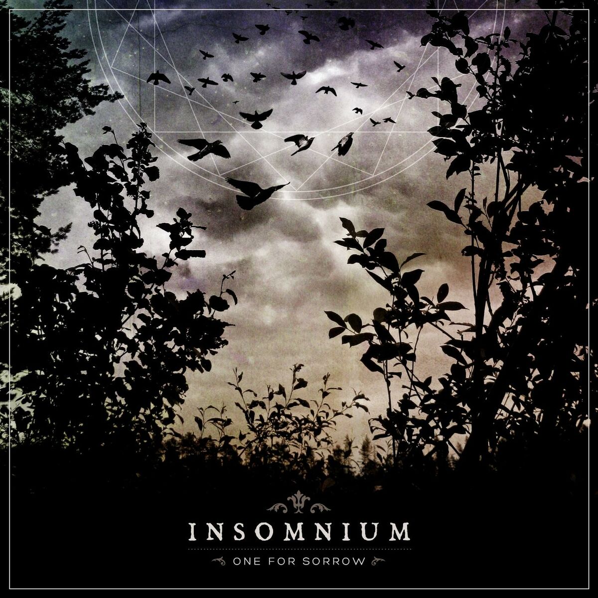 Album cover of Through The Shadow