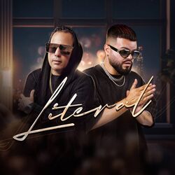 Cover of Literal