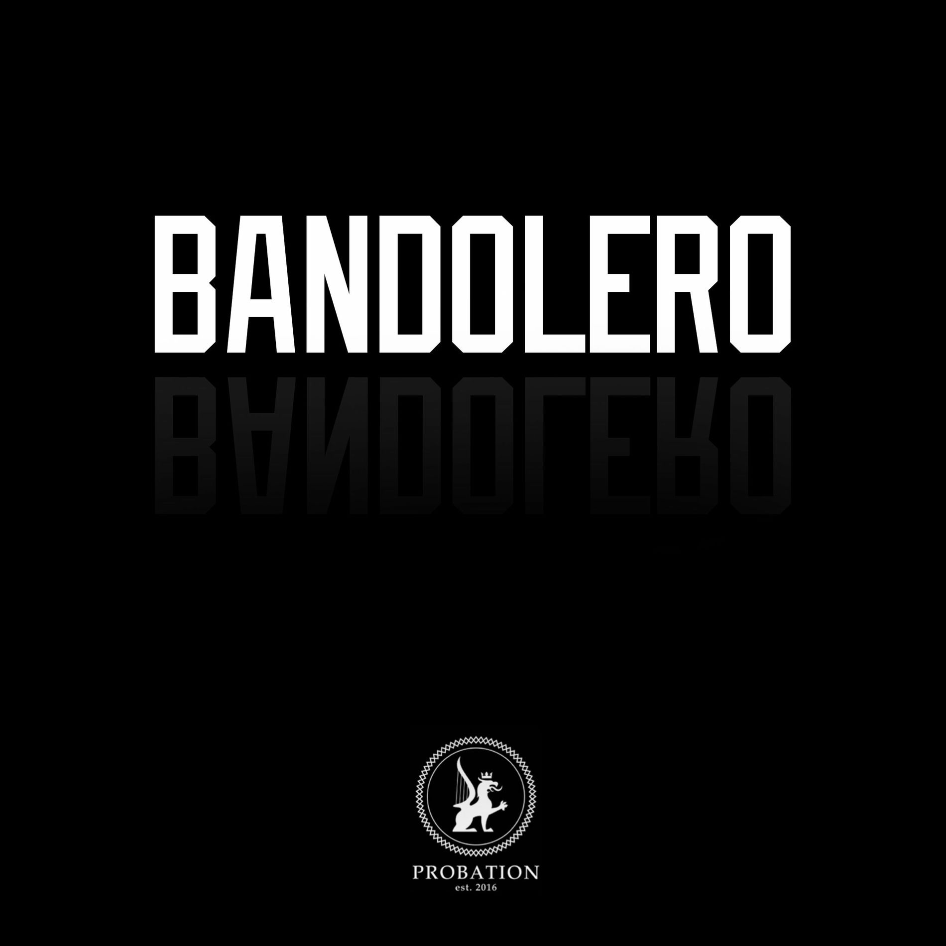 Album cover of Bandolero