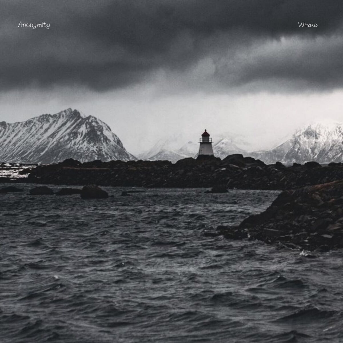 Album cover of Anonymity